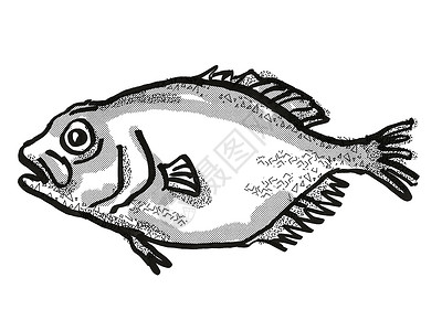 新西兰鱼装饰回溯性图谱背景图片