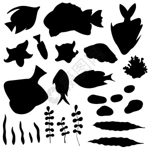 黑鱼煲一组孤立的黑鱼 海草 贝壳和白色背景的石块背影插画