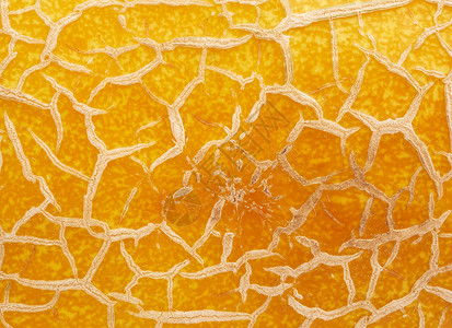 水果框黄熟甜瓜纹理 全框工作室食物皮肤水果甘露甜点背景