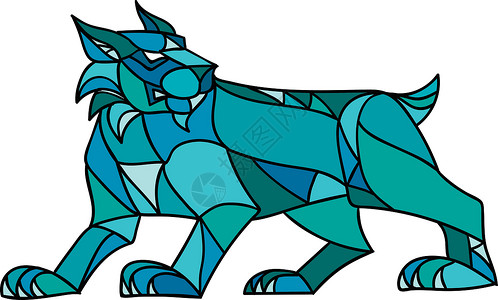 山猫鲍勃波罗林摩赛克三角形多边形动物多面体猫科艺术品折纸像素化大猫三角插画