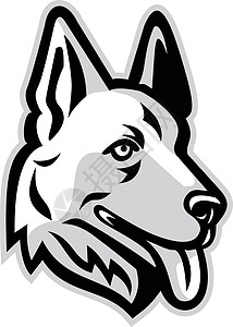 德国运动品牌阿尔萨斯狼狗宠物高清图片