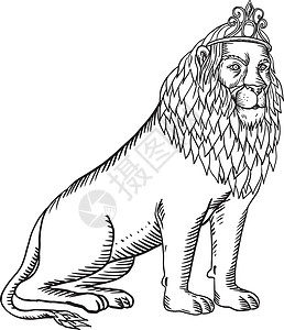 身穿蒂亚拉·埃廷黑白的狮子座插画