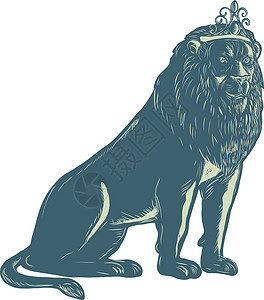 狮子穿戴蒂亚拉坐椅滑板插画