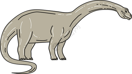 龙头龙龙 恐龙往下看单线侏罗纪艺术品厚度绘画长颈爬虫蜥蜴插图重量画线插画