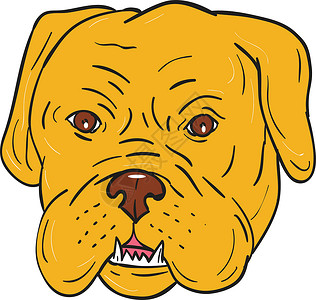 狗波尔多波尔多狗头卡通动物插图野生动物犬类酒庄宠物艺术品卡通片笨蛋獒犬插画
