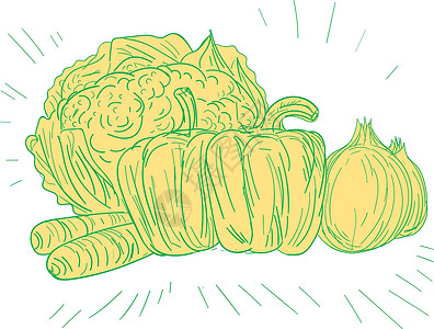 蔬菜线Brocolli 辣椒洋葱画画线食物萝卜刮板插图叶菜类辣椒草图洋葱艺术品设计图片