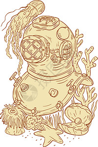 schoolOld School 潜水头盔海蜇牡蛎墨水海洋生物艺术品草图野生动物珍珠黄铜手工插画