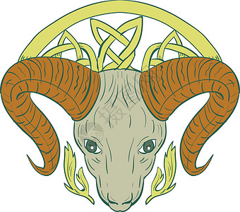 伊科Ram Head 凯尔特诺辫子喇叭动物艺术品号角绳索插图艺术工作野生动物插画