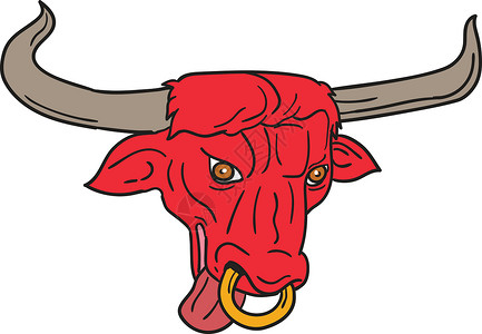 德州长角牛红牛抽奖鼻环舌头艺术品手工野生动物插图动物手绘画线长角牛背景图片