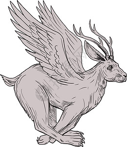 斯托廷格运行侧边绘图生物兔子手绘插图刮板神话艺术品墨水画线翅膀插画
