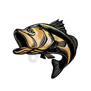 大嘴鲈鱼大嘴大嘴巴斯油毡低音凸版木块插图版画鲈鱼木刻艺术品黑鲈背景