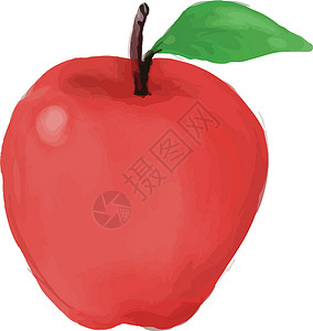 苹果水彩花艺术品水果食物手工手绘插图墨水叶子绘画背景图片