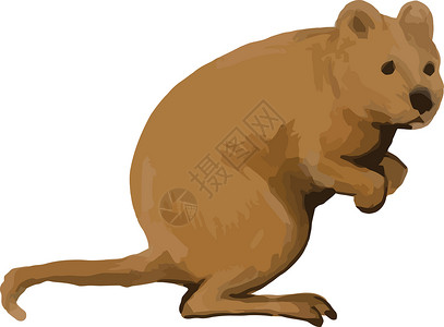 塞顿尼克斯短尾矮袋鼠手工制作的高清图片