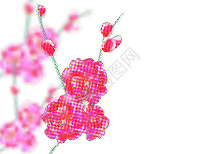 白底粉边带有精细粉红花和花蕾的枝条 樱月点 白底隔离 说明插画