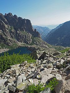 高山的风景 有蓝湖 绿林和白山花高清图片