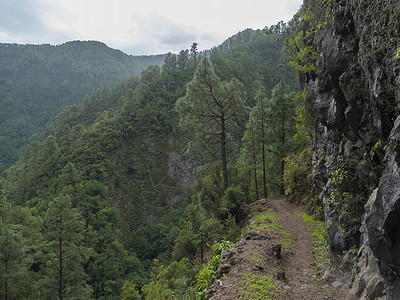 桂子山公园山沟高清图片