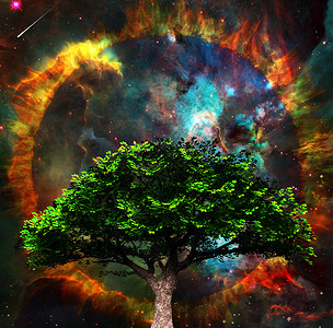 生命树艺术自由星系叶子渲染3d生活宇宙天空插图背景图片