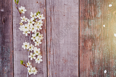 樱花的枝子和鲜花放在木板上背景图片