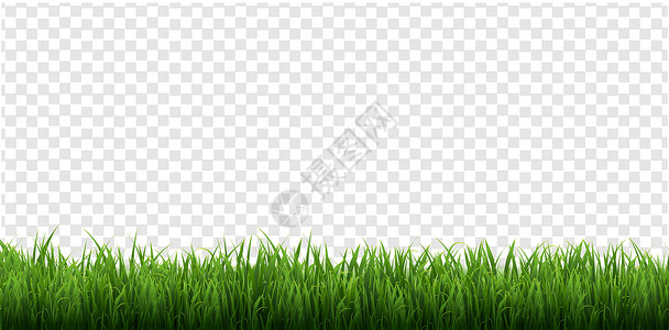 在透明背景上隔离的绿草边框生长花园草原草地横幅叶子全景植物插图场地背景图片
