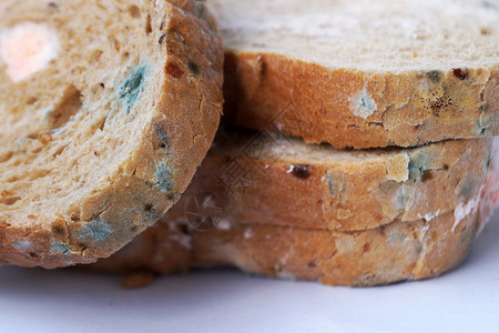 三块面包面包上发霉 紧闭宏观真菌面粉小麦细菌腐烂菌类灰色霉菌食物背景