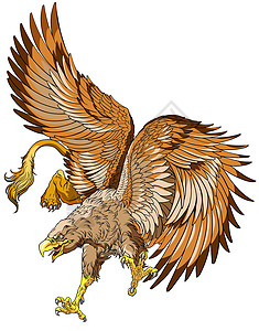 飞行狮鹫或狮鹫怪物狮子生物神话绘画翅膀传奇鹰头动物高清图片