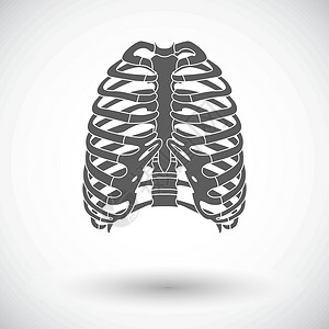 胸部图标人类胸腔的图标医疗生物学胸骨解剖学胸部生活卫生科学保健骨骼设计图片