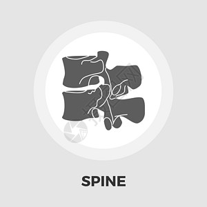解剖脊柱图标 fla磁盘项目腰椎器官背痛骨骼身体科学黑色骨科背景图片