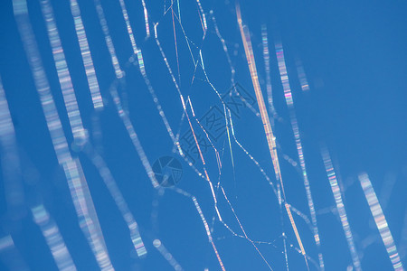蓝色蜘蛛网蜘蛛网的飞线背景