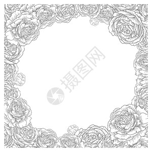 玫瑰图形花卉方框 优雅的花朵 玫瑰 牡丹矢量 装饰婚礼卡背景模板 图形插图插画