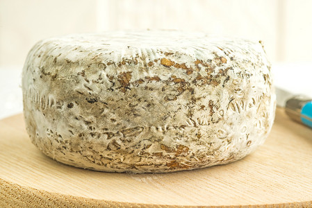 法国芝士 阿尔卑斯大托米特产品面包工艺霉菌部门日记灰色专业芬芳地熟食背景图片