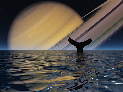 月光下鲸鱼鲸鱼月亮天空海景荒野游泳射线动物美人鱼星星座头鲸背景