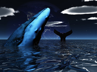 天空鲸鱼鲸鱼座头鲸手表生活栖息地游泳地平线风景生态暴跌蓝色背景