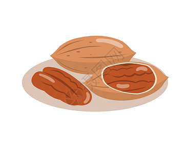 薄壳山核桃孤立在白色背景上的山核桃核心种子市场扁豆矿物质维生素零食坚果营养粮食插画