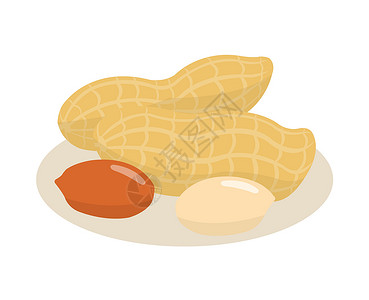 小吃花生孤立在白色背景上的花生黄油小吃饮食坚果食物种子烹饪水果插图零食插画
