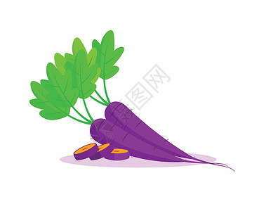 花青素孤立在白色背景上的紫色胡萝卜营养植物食物叶子蔬菜淡紫色花园插图农业烹饪插画