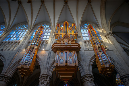 管风琴布鲁塞尔 比利时 - 2014 年 11 月 23 日 圣迈克尔和圣古都拉大教堂 首都有 1000 年历史的大教堂背景