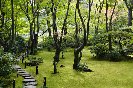 次郎日本花园的日本京都小八池登吉罗石路场景文化曲线绳索垫脚绿色人行道树木禅意花园背景