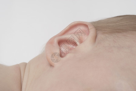 婴儿612个月 耳朵闭合男孩头发影棚宝贝棕色背景