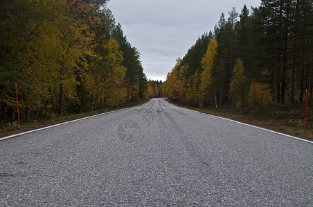 卡累利阿芬兰Kainuu地区空无道路天空反射峡谷树木针叶木头森林风景蓝色荒野背景