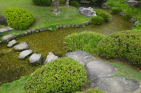心性好古果子园的河道 日本人绿色花园垫脚场景人行道文化溪流曲线树木植物背景
