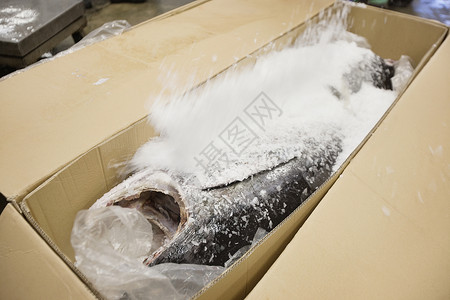 纸箱中含海盐的原鱼渔业健康饮食商业工业保鲜海鲜市场视图店铺静物背景图片