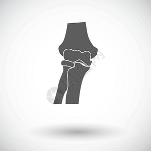 大粗腿膝对齐单一图标胫骨身体医学股骨生物学绘画医疗膝盖髌骨科学插画