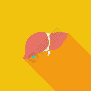 胆汁肝脏图标保健绘画卫生药品花瓣元素艺术酒精卡通片医疗设计图片