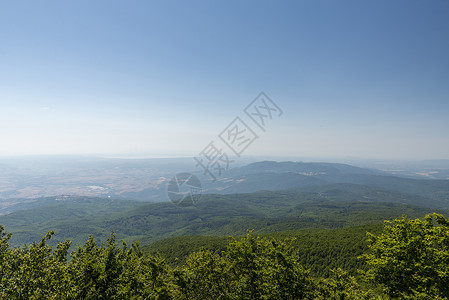 山顶上的树意大利语锡耶纳高清图片