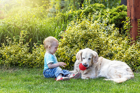 小男孩和狗可爱的小男孩在花园里和狗玩耍背景