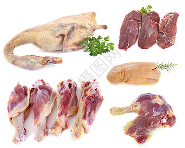 一群鸭肉鹅肝食物鱼片工作室肉片团体鸡腿家禽背景图片