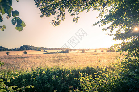 沃尔德在美丽的夏日阳光下 科茨狼人的风景英语乡村国家日落农村树木丘陵农田场地森林背景