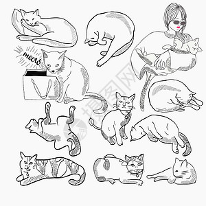 睡眠动物不同诗歌和字符设计中的一套猫图集插图设计图片