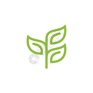 树叶标志绿色树叶生态标志标签回收植物标识网络艺术产品插图生物生活插画