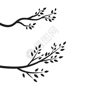 树枝矢量设计收藏植物群鸽子绘画插图生态植物叶子树叶环境背景图片